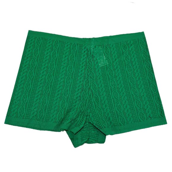 NWT AERIE Cable Lace Bikini (Cheeky) Pantie Underwear Sz L Green - Picture 2 of 4